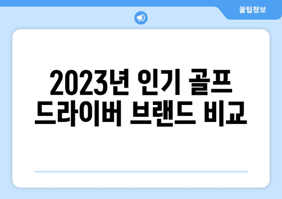 2023년 골프 드라이버 가격 비교 및 추천 가이드 | 골프 장비, 구매 팁, 최신 동향