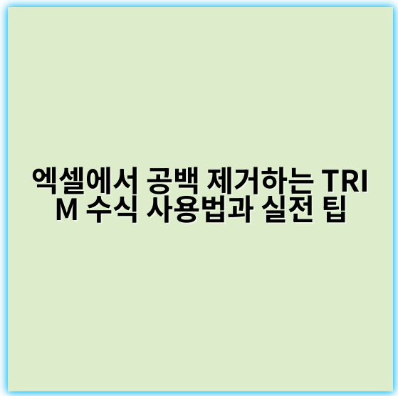 엑셀에서 공백 제거하는 TRIM 수식 사용법과 실전 팁 - 핵심 키워드: **TRIM**